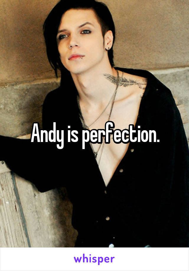 Andy is perfection.
