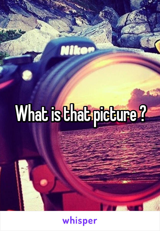 What is that picture ?