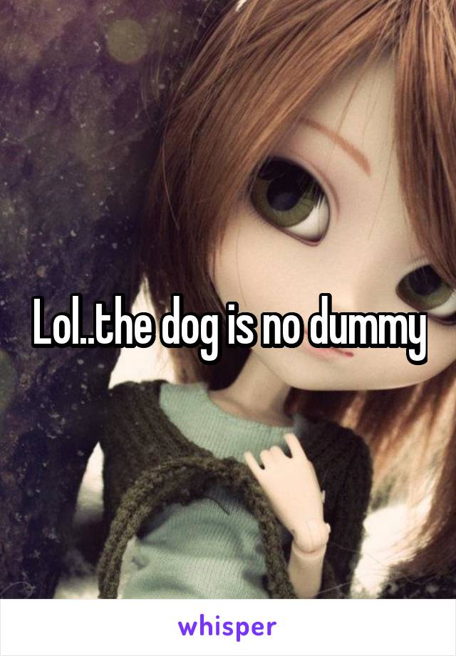 Lol..the dog is no dummy