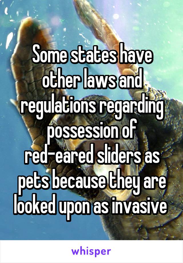 Some states have other laws and regulations regarding possession of red-eared sliders as pets because they are looked upon as invasive 