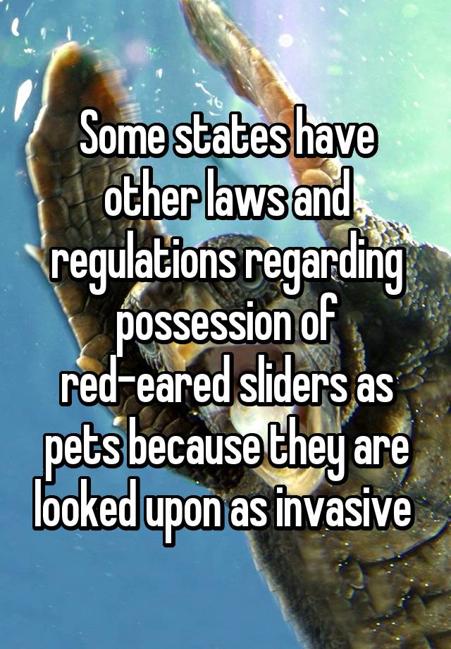 Some states have other laws and regulations regarding possession of red-eared sliders as pets because they are looked upon as invasive 