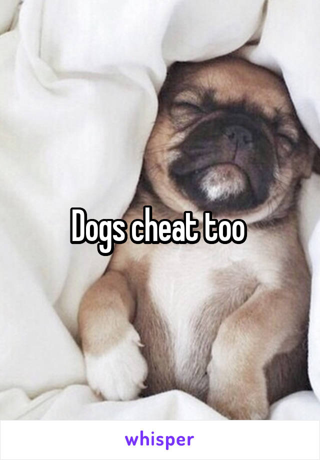 Dogs cheat too 