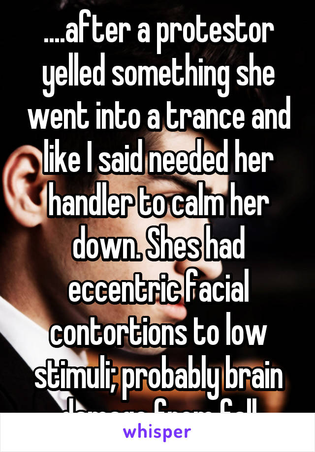 ....after a protestor yelled something she went into a trance and like I said needed her handler to calm her down. Shes had eccentric facial contortions to low stimuli; probably brain damage from fall