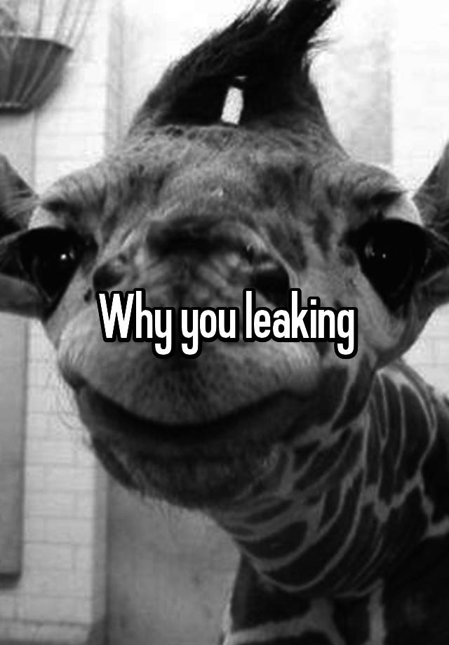 why-you-leaking