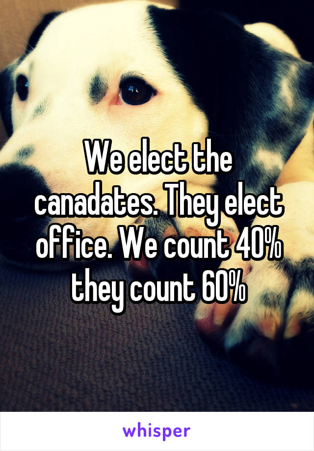 We elect the canadates. They elect office. We count 40% they count 60%