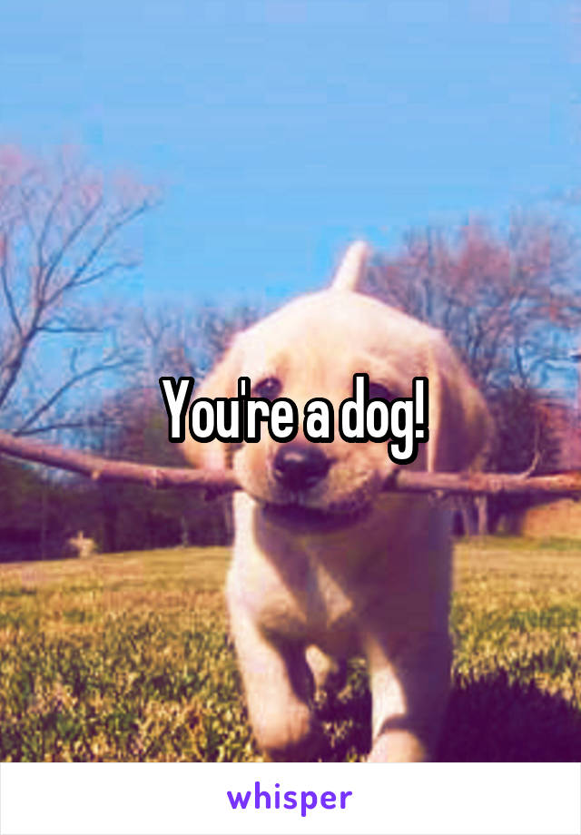 You're a dog!