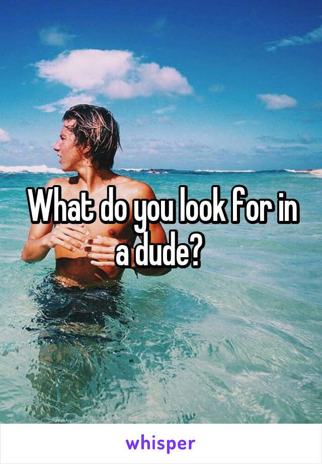What do you look for in a dude? 