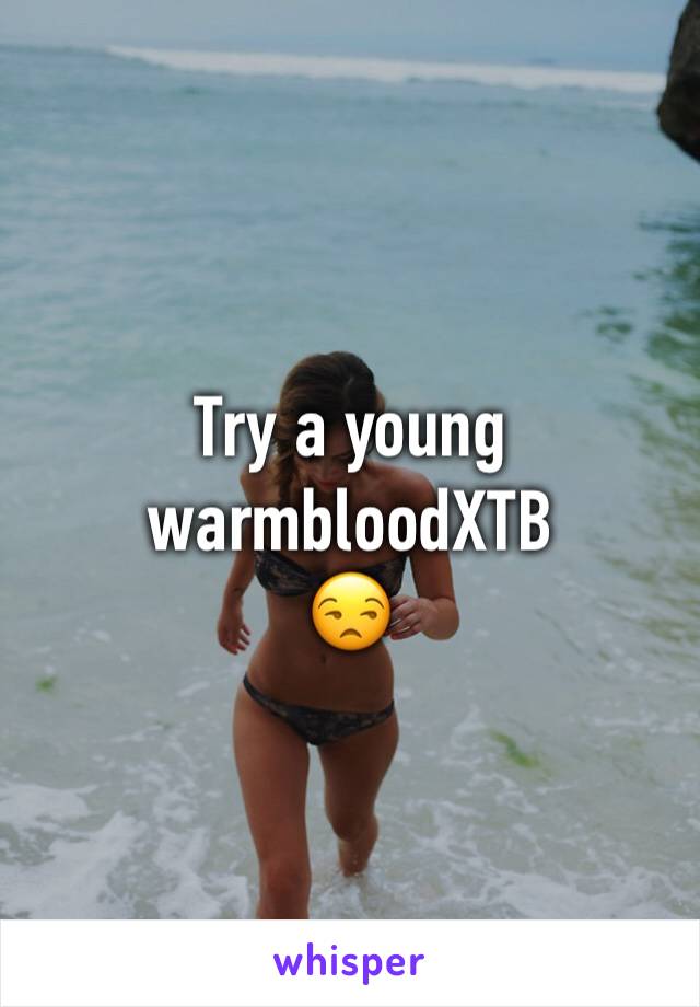 Try a young warmbloodXTB
😒