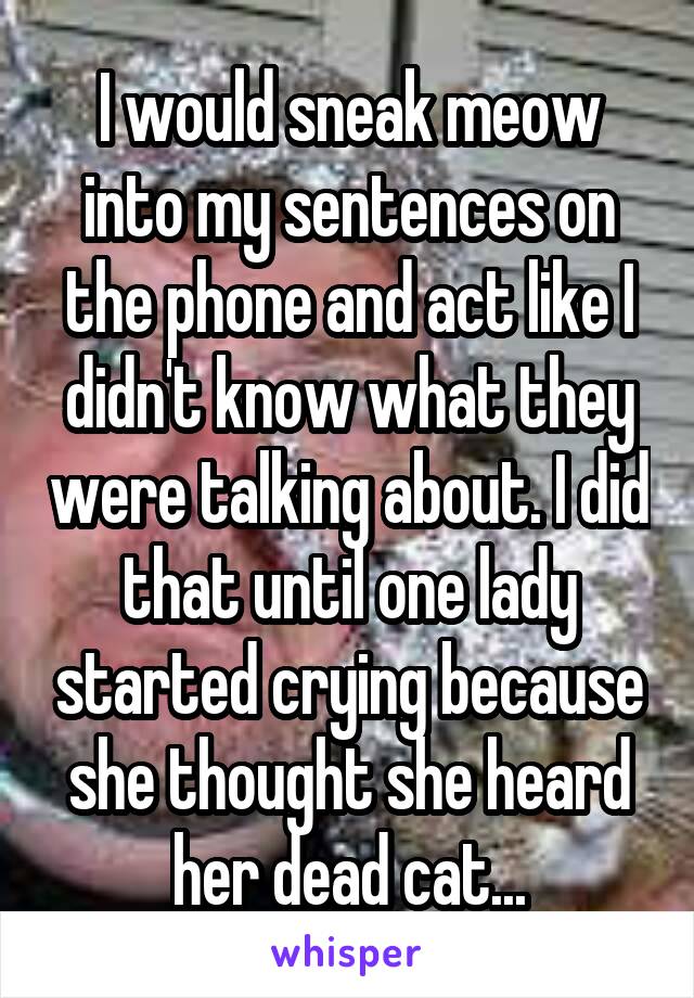 I would sneak meow into my sentences on the phone and act like I didn't know what they were talking about. I did that until one lady started crying because she thought she heard her dead cat...