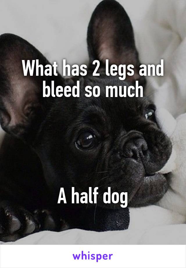 what-has-2-legs-and-bleed-so-much-a-half-dog