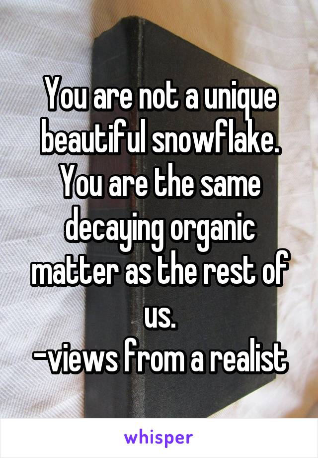 You are not a unique beautiful snowflake. You are the same decaying organic matter as the rest of us.
-views from a realist