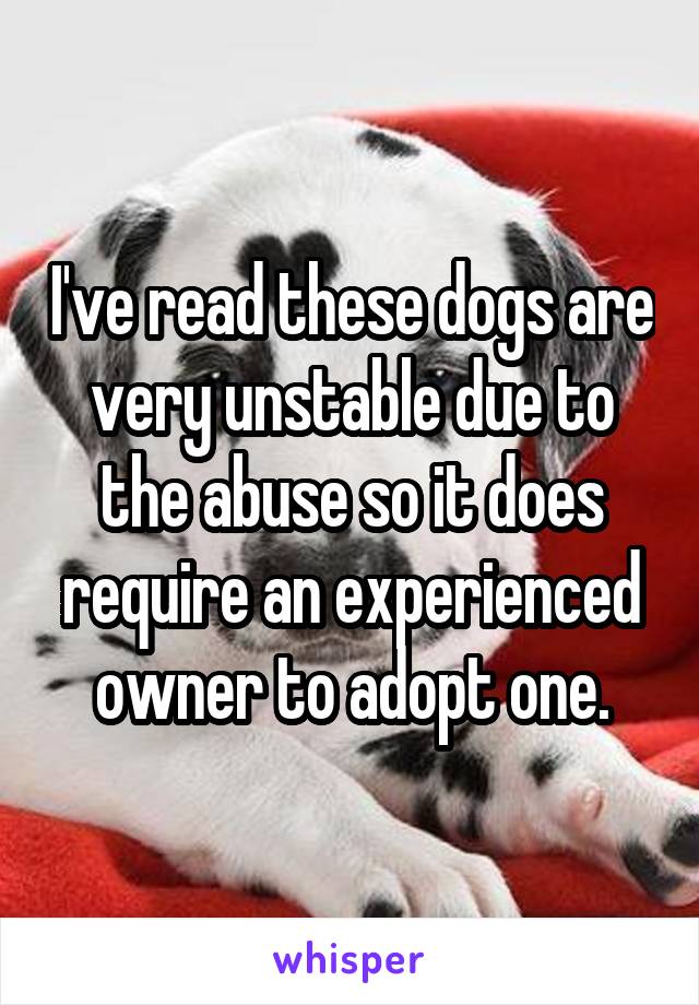 I've read these dogs are very unstable due to the abuse so it does require an experienced owner to adopt one.