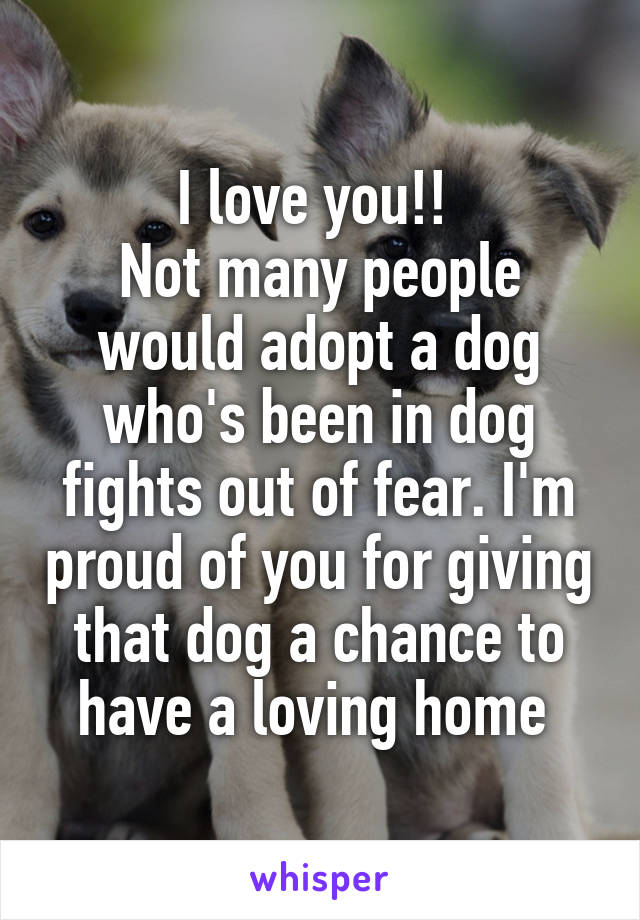 I love you!! 
Not many people would adopt a dog who's been in dog fights out of fear. I'm proud of you for giving that dog a chance to have a loving home 