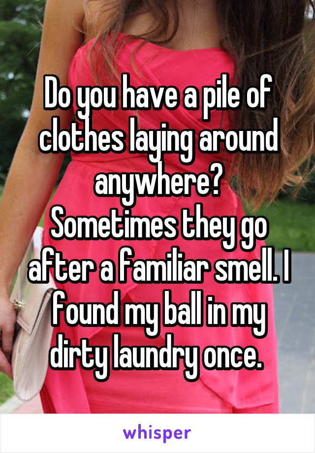 Do you have a pile of clothes laying around anywhere?
Sometimes they go after a familiar smell. I found my ball in my dirty laundry once. 