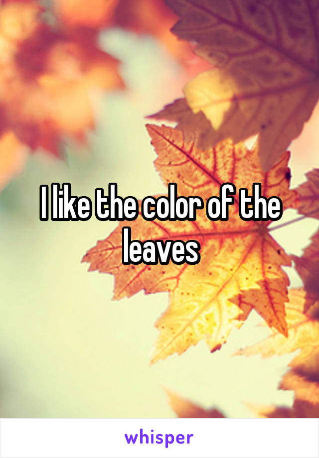 I like the color of the leaves