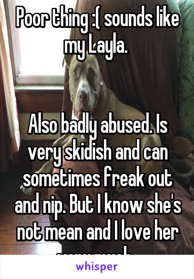 Poor thing :( sounds like my Layla. 


Also badly abused. Is very skidish and can sometimes freak out and nip. But I know she's not mean and I love her very much. 