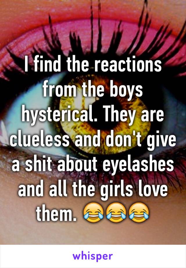 I find the reactions from the boys hysterical. They are clueless and don't give a shit about eyelashes and all the girls love them. 😂😂😂