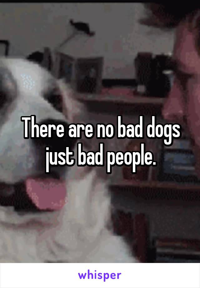 There are no bad dogs just bad people.