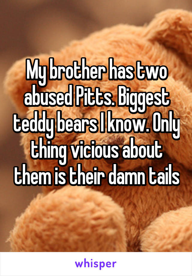My brother has two abused Pitts. Biggest teddy bears I know. Only thing vicious about them is their damn tails 