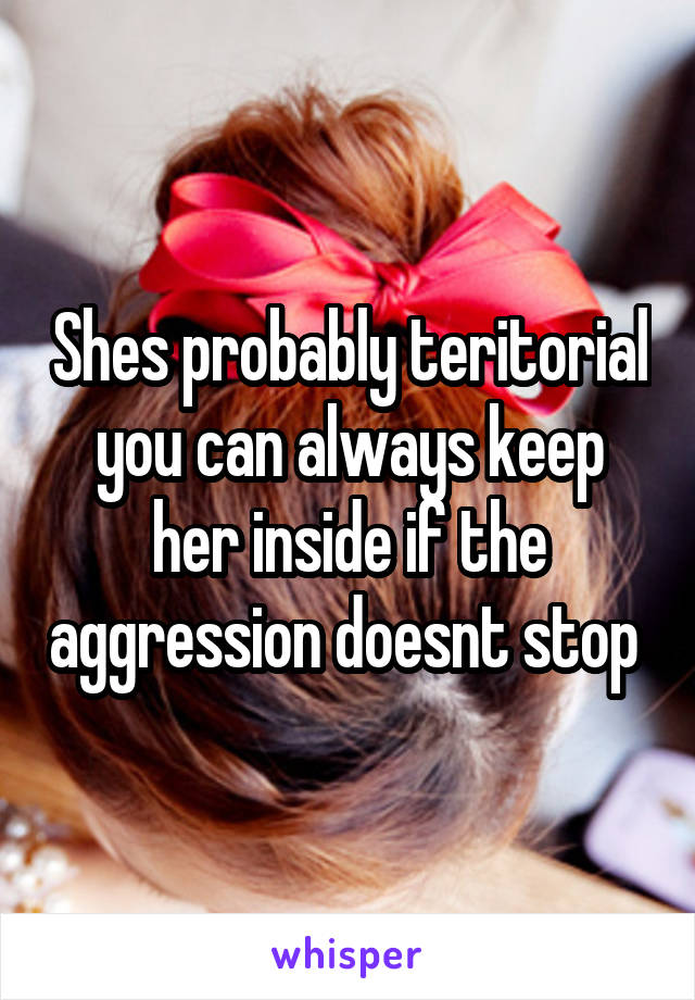 Shes probably teritorial you can always keep her inside if the aggression doesnt stop 
