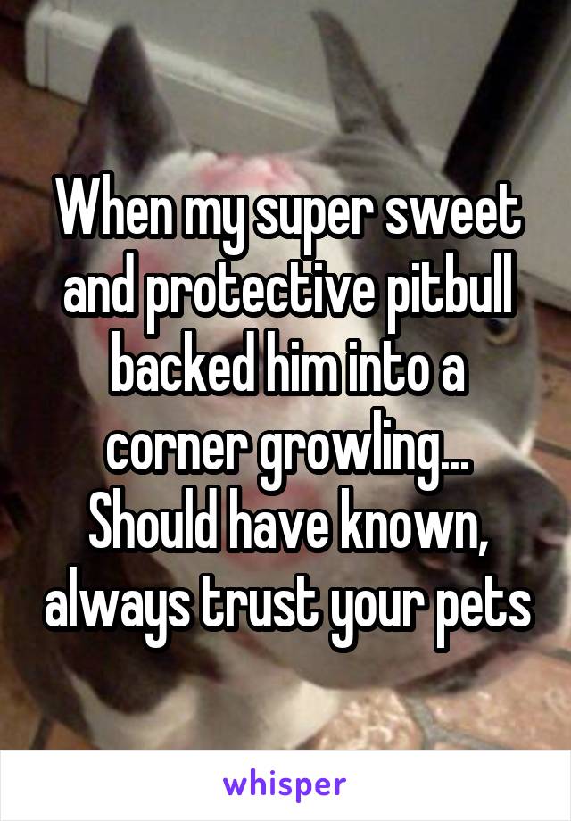 When my super sweet and protective pitbull backed him into a corner growling... Should have known, always trust your pets