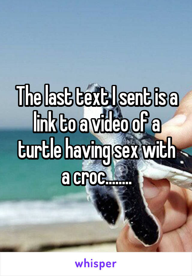 The last text I sent is a link to a video of a turtle having sex with a croc........