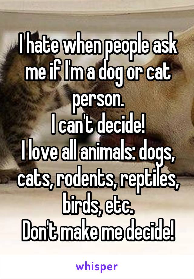I hate when people ask me if I'm a dog or cat person.
I can't decide!
I love all animals: dogs, cats, rodents, reptiles, birds, etc.
Don't make me decide!