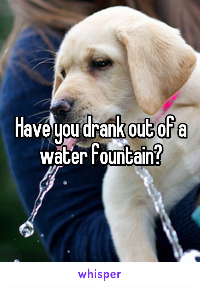 Have you drank out of a water fountain?