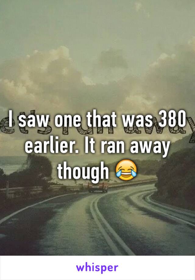 I saw one that was 380 earlier. It ran away though 😂