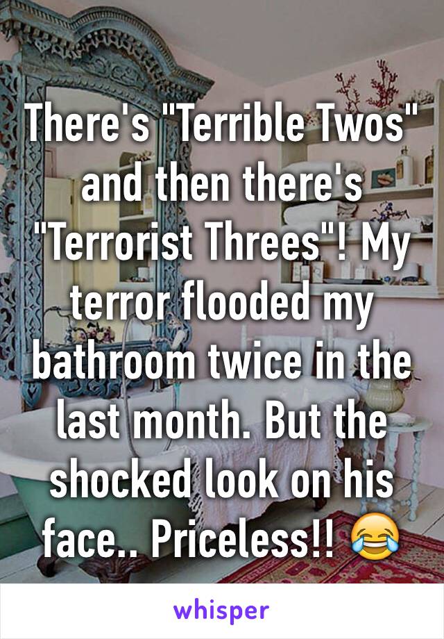 There's "Terrible Twos" and then there's "Terrorist Threes"! My terror flooded my bathroom twice in the last month. But the shocked look on his face.. Priceless!! 😂