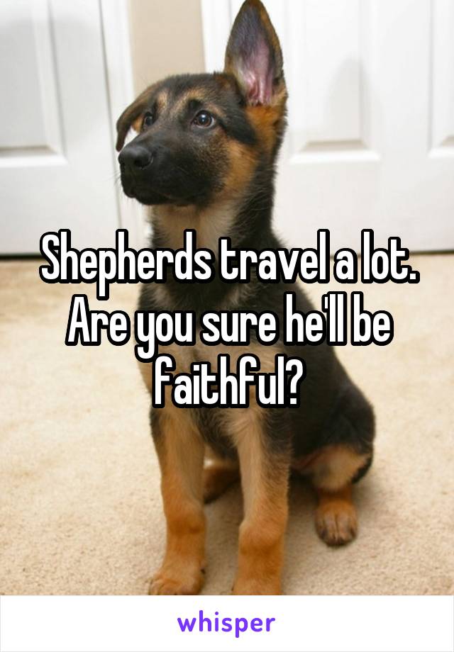 Shepherds travel a lot. Are you sure he'll be faithful?