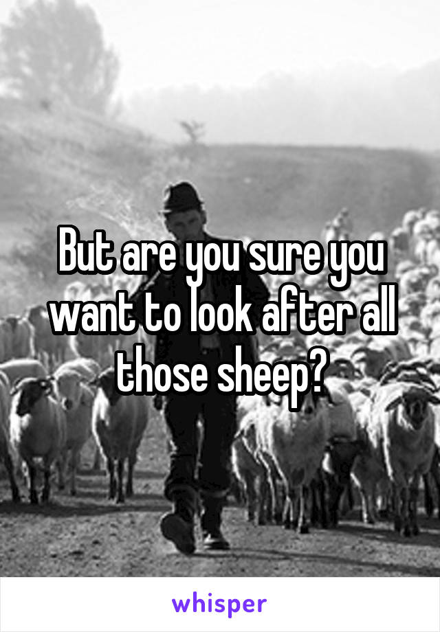But are you sure you want to look after all those sheep?