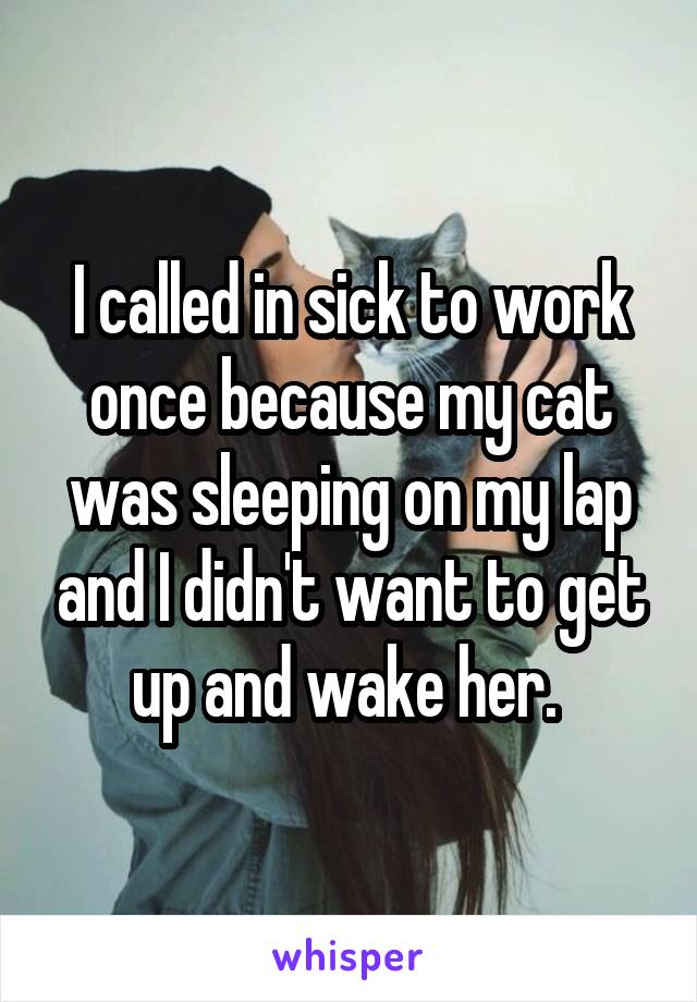 I called in sick to work once because my cat was sleeping on my lap and I didn't want to get up and wake her. 