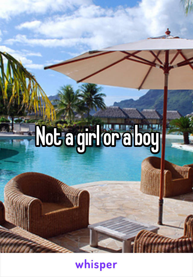Not a girl or a boy