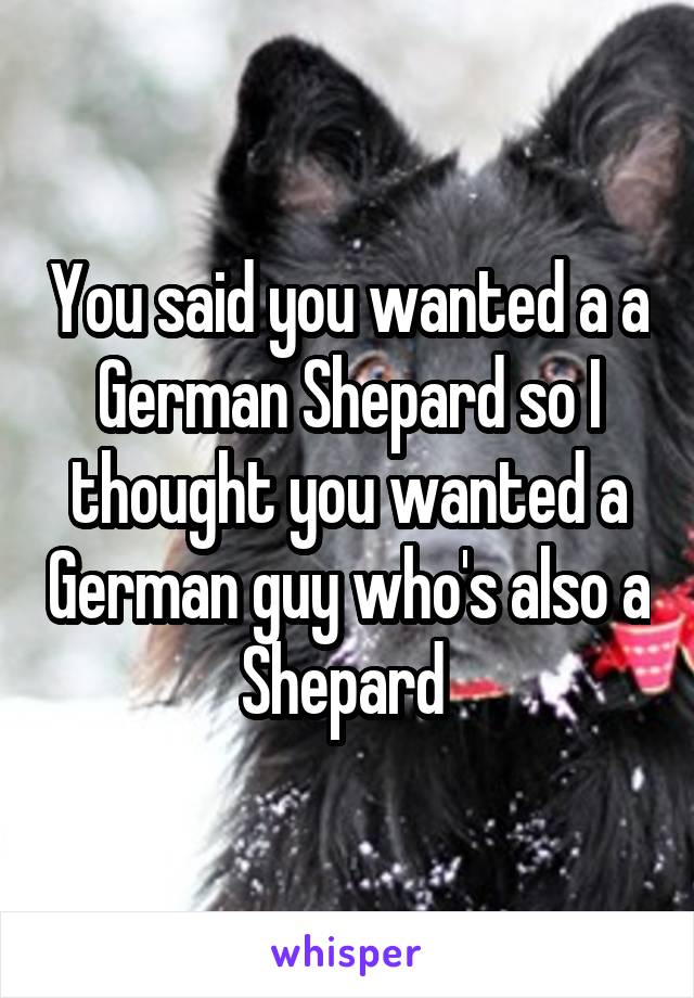 You said you wanted a a German Shepard so I thought you wanted a German guy who's also a Shepard 