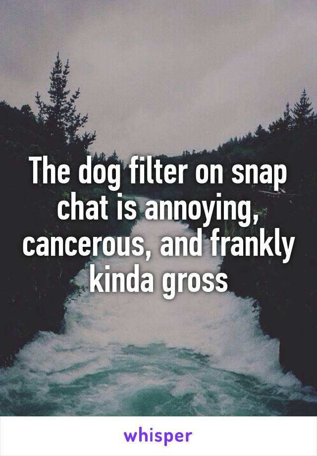 The dog filter on snap chat is annoying, cancerous, and frankly kinda gross
