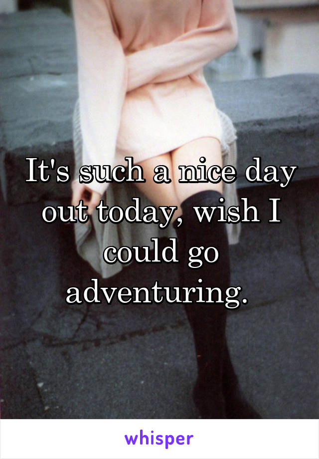 It's such a nice day out today, wish I could go adventuring. 