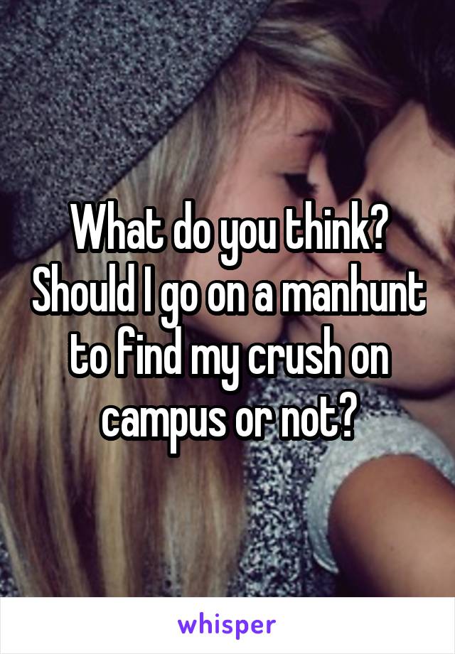 What do you think? Should I go on a manhunt to find my crush on campus or not?