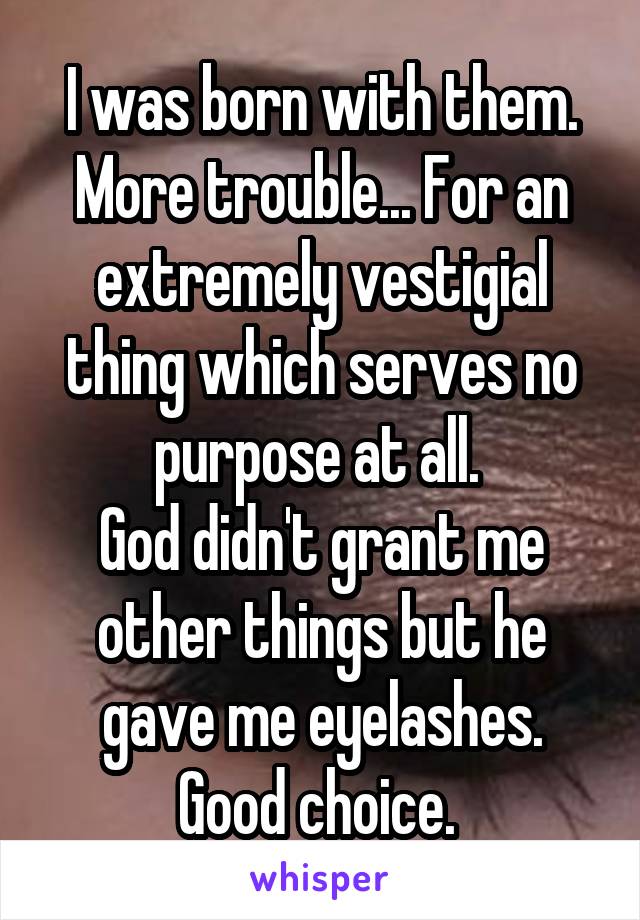 I was born with them. More trouble... For an extremely vestigial thing which serves no purpose at all. 
God didn't grant me other things but he gave me eyelashes. Good choice. 