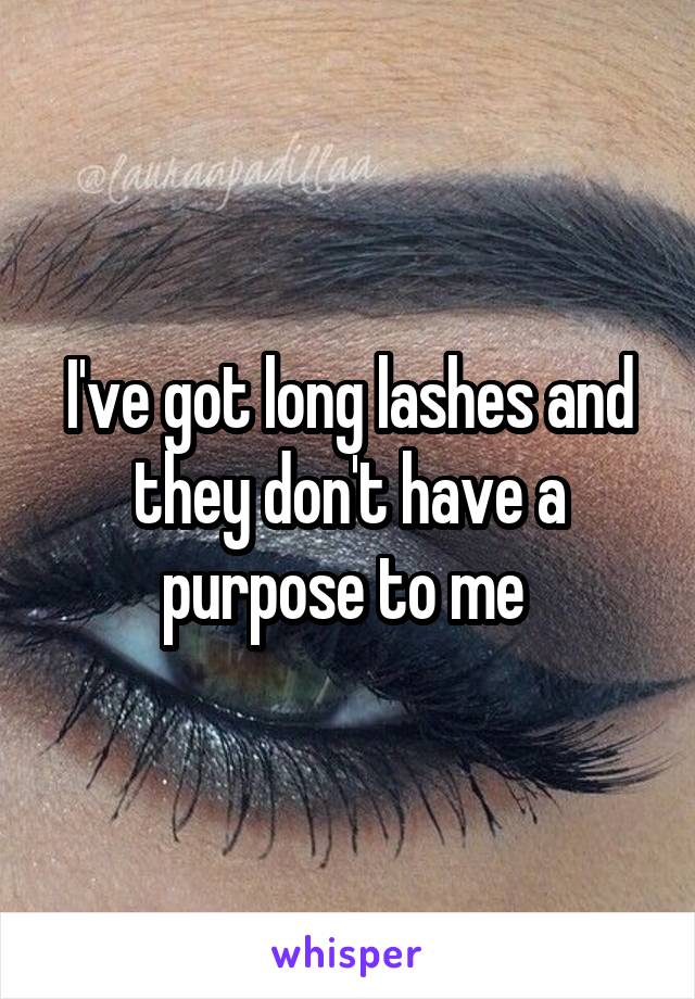 I've got long lashes and they don't have a purpose to me 