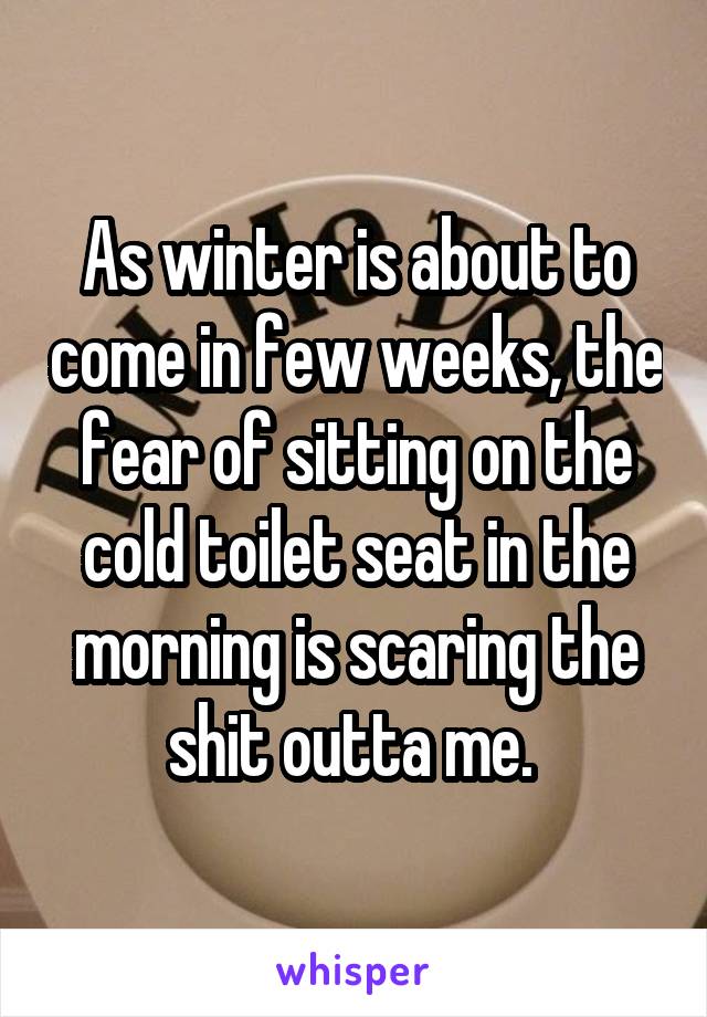As winter is about to come in few weeks, the fear of sitting on the cold toilet seat in the morning is scaring the shit outta me. 