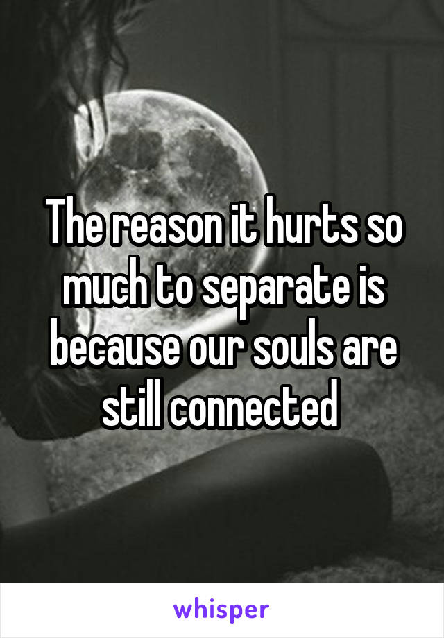The reason it hurts so much to separate is because our souls are still connected 