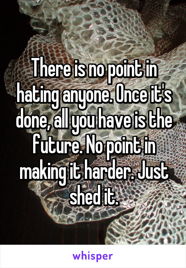 There is no point in hating anyone. Once it's done, all you have is the future. No point in making it harder. Just shed it.