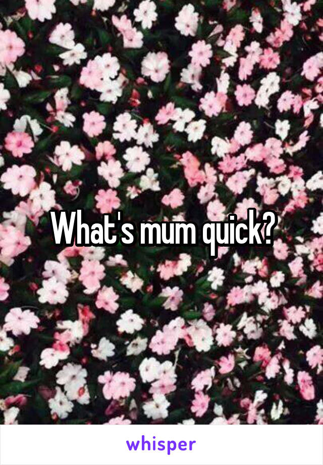 What's mum quick?
