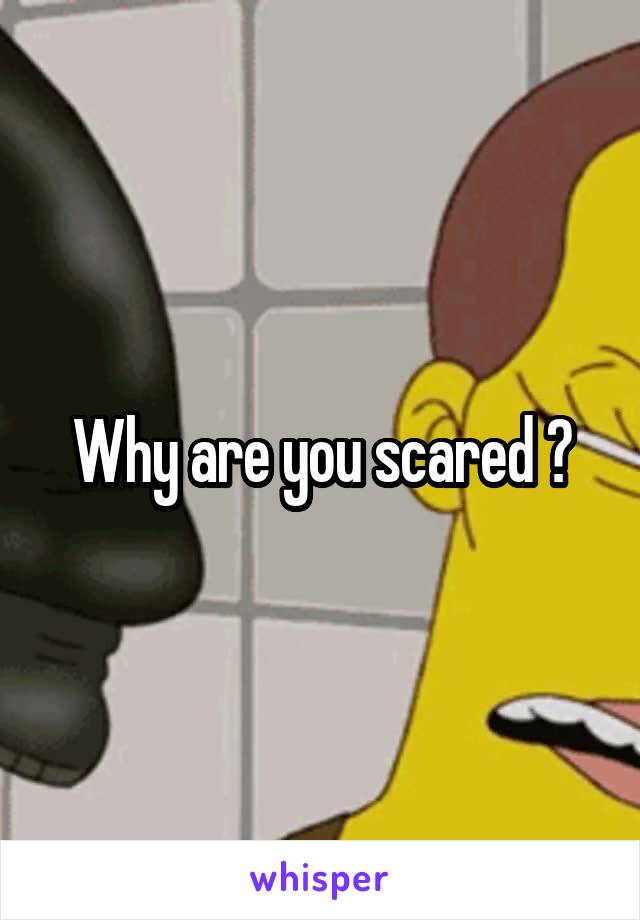 Why are you scared ?
