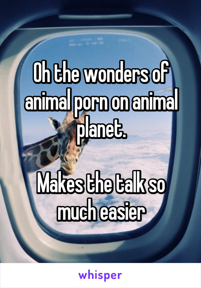 Oh the wonders of animal porn on animal planet.

Makes the talk so much easier