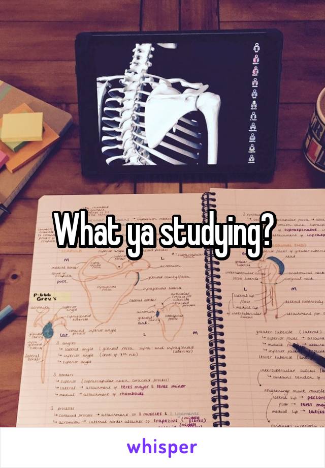 What ya studying?