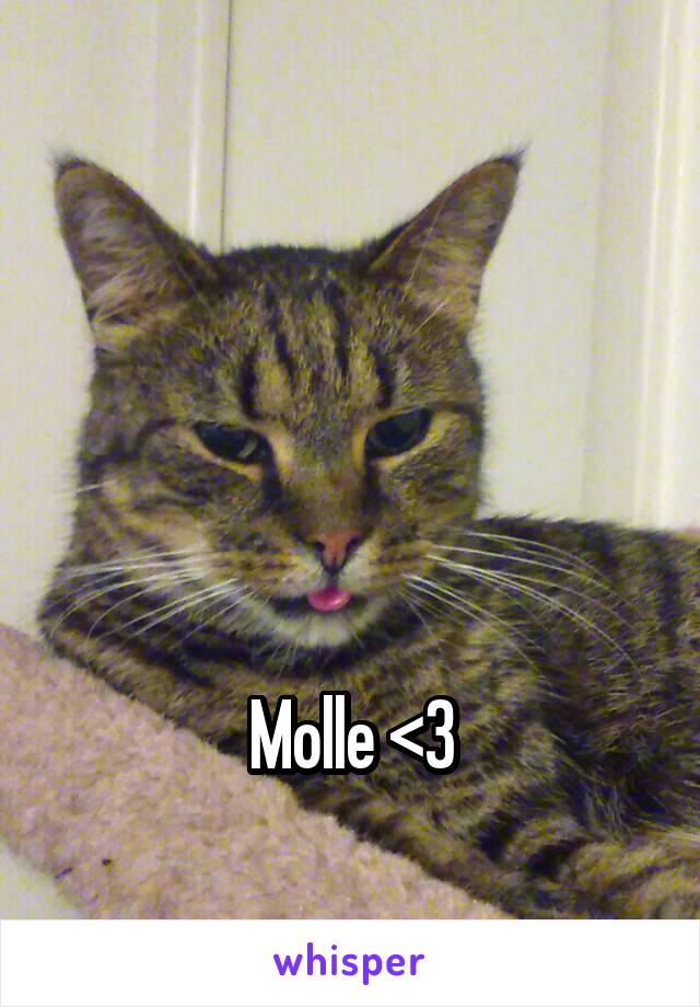 




Molle <3