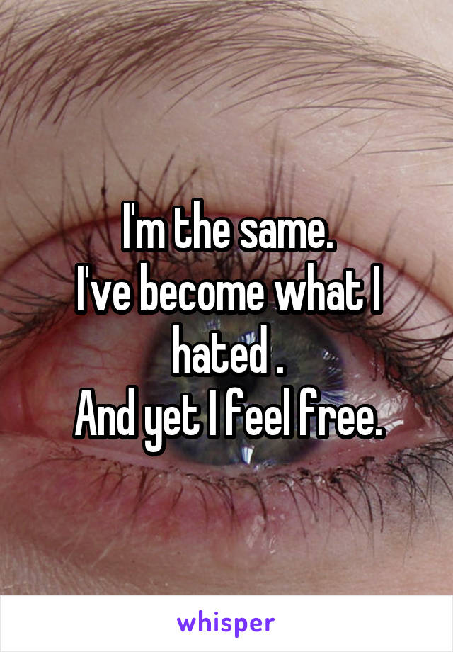 I'm the same.
I've become what I hated .
And yet I feel free.
