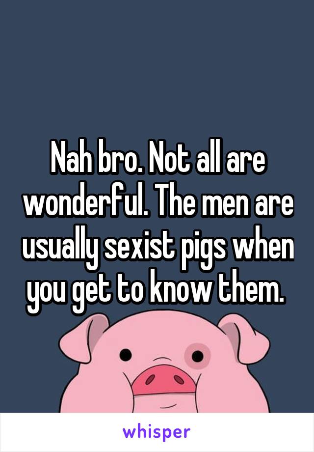 Nah bro. Not all are wonderful. The men are usually sexist pigs when you get to know them. 